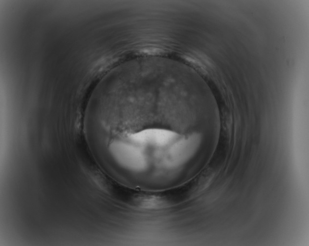 X0000086930507200704161427