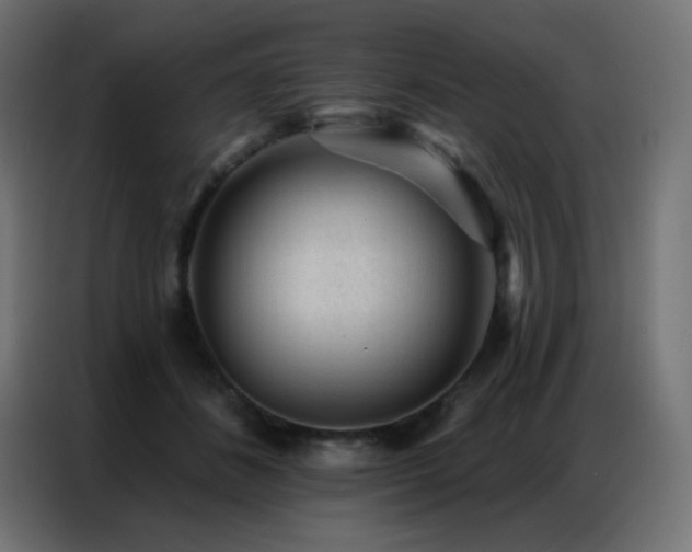 X0000086930508200704161427