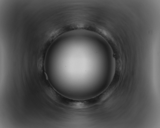 X0000086930509200704161427