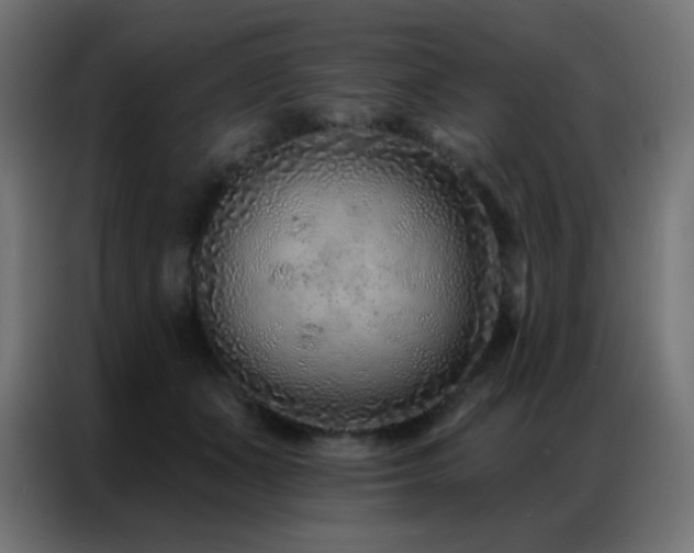 X0000086930511200704161427