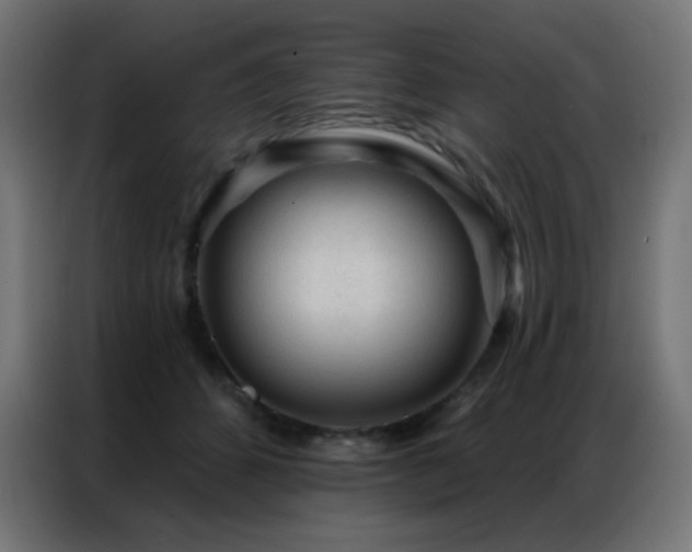 X0000086930512200704161427