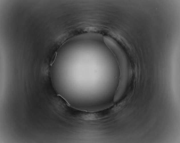 X0000086930513200704161427