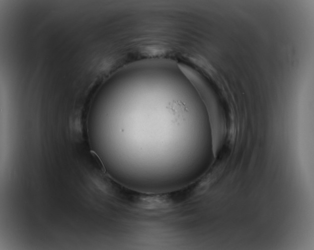 X0000086930516200704161427