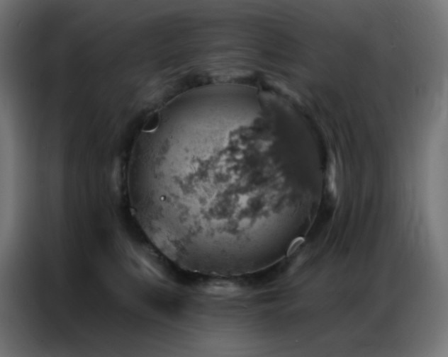 X0000086930519200704161427