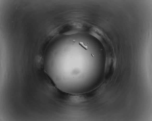 X0000086930521200704161427