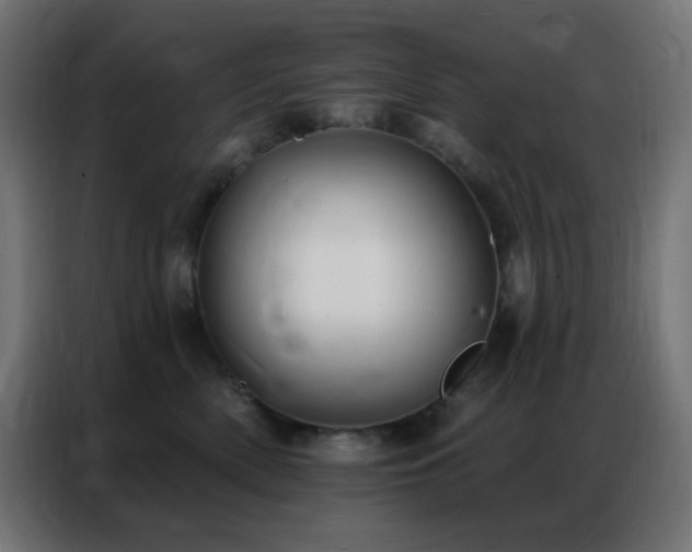 X0000086930522200704161427