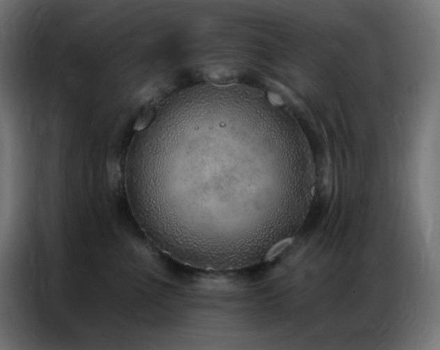 X0000086930523200704161427