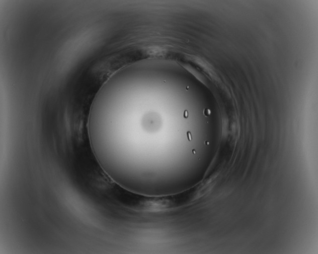 X0000086930525200704161427