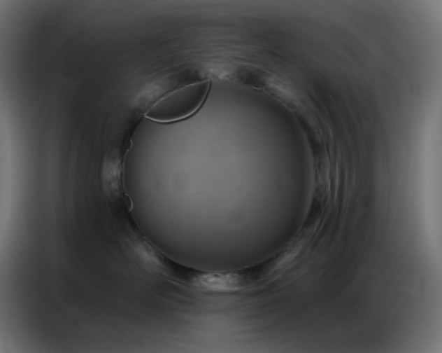 X0000086930526200704161427