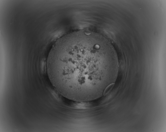 X0000086930527200704161427