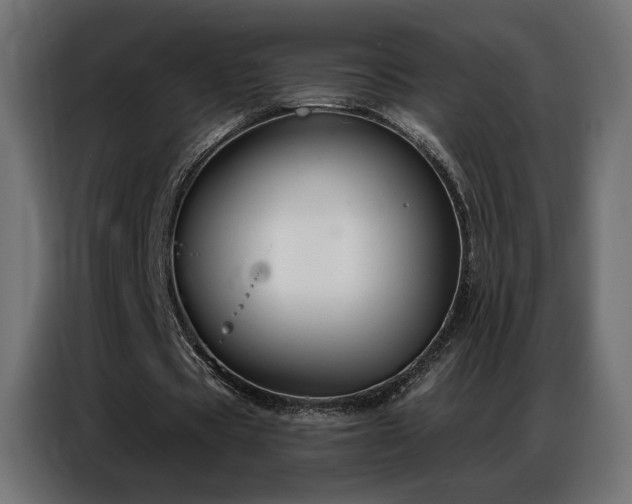 X0000086930529200704161426