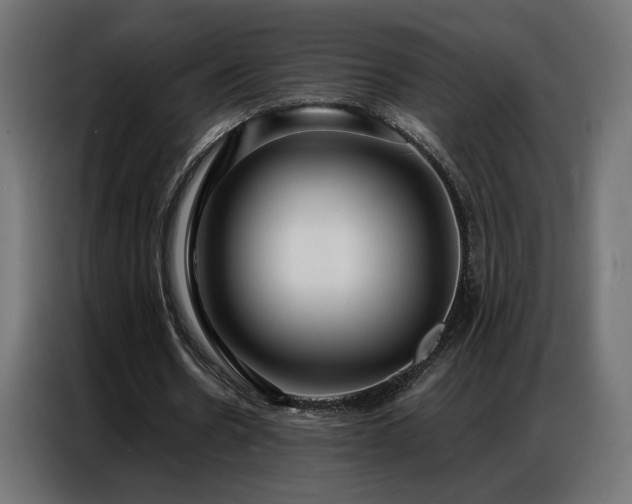 X0000086930530200704161426