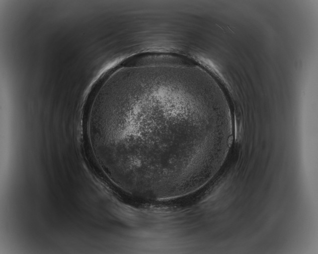 X0000086930531200704161426