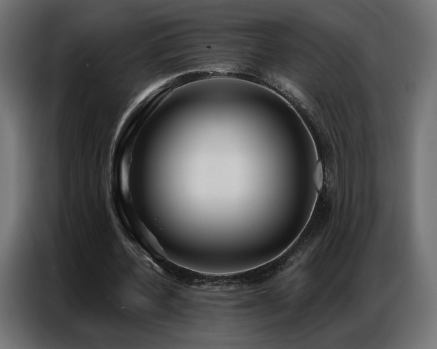 X0000086930532200704161426
