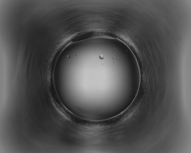 X0000086930533200704161426