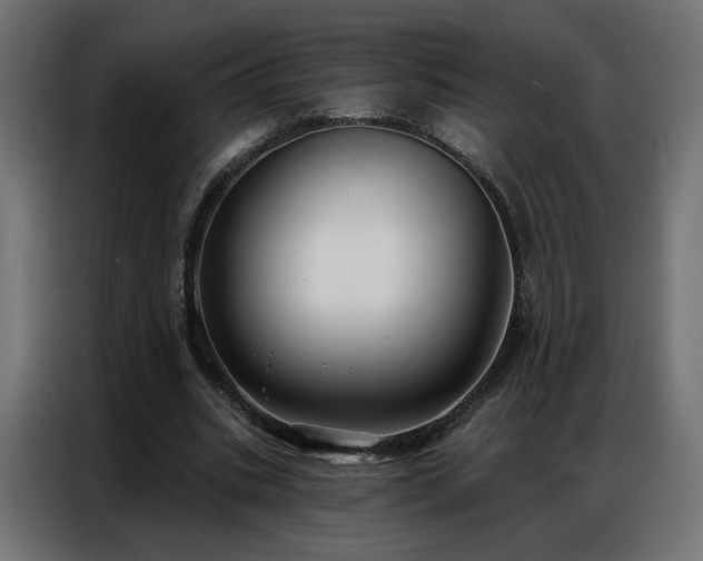 X0000086930535200704161426