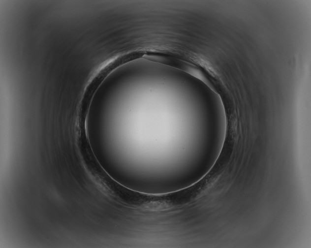 X0000086930536200704161426