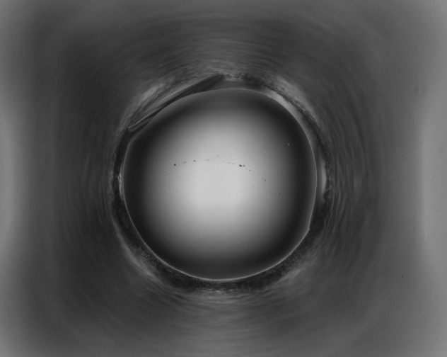 X0000086930538200704161426