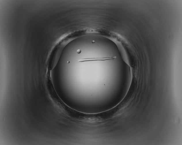 X0000086930540200704161426