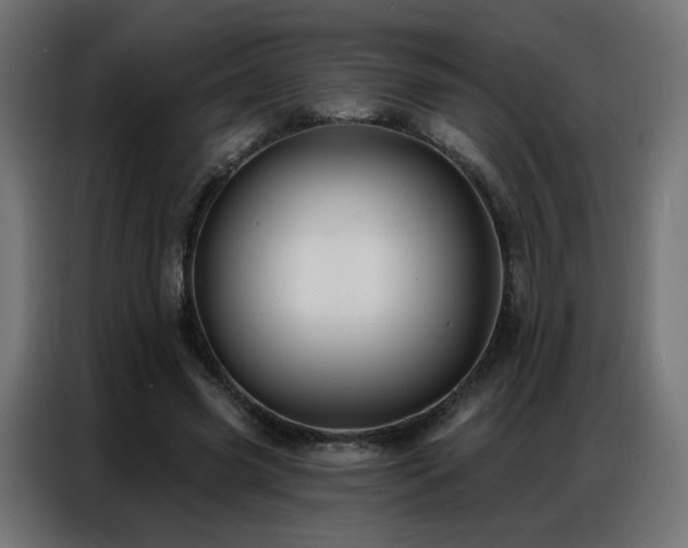 X0000086930541200704161426
