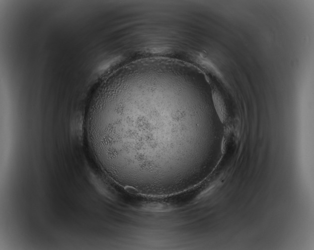 X0000086930542200704161426