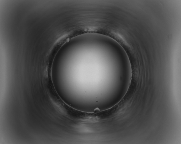 X0000086930543200704161426