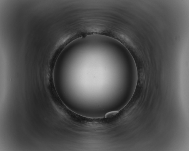 X0000086930544200704161426