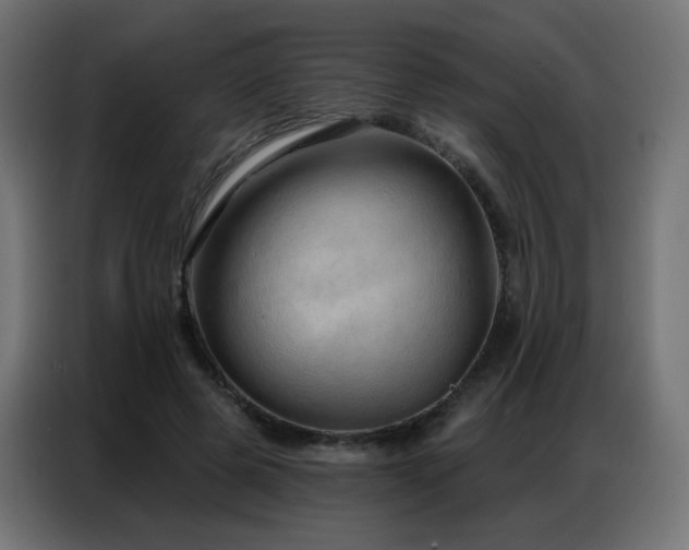 X0000086930545200704161426