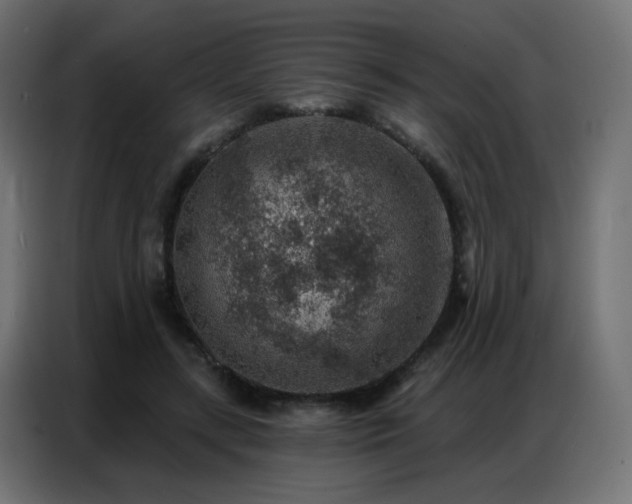 X0000086930547200704161426