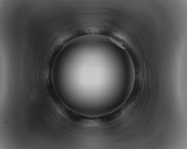 X0000086930548200704161426