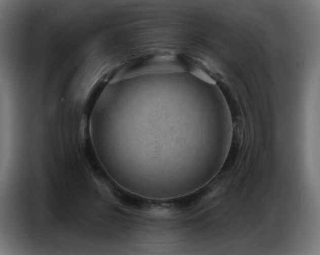 X0000086930550200704161426