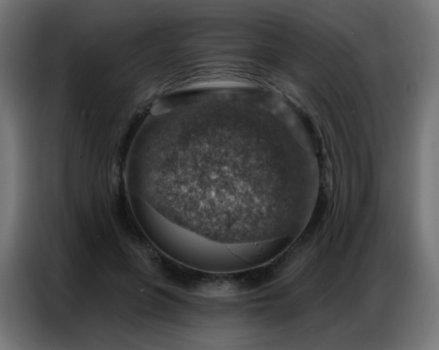 X0000086930551200704161426