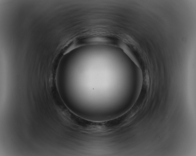 X0000086930552200704161426