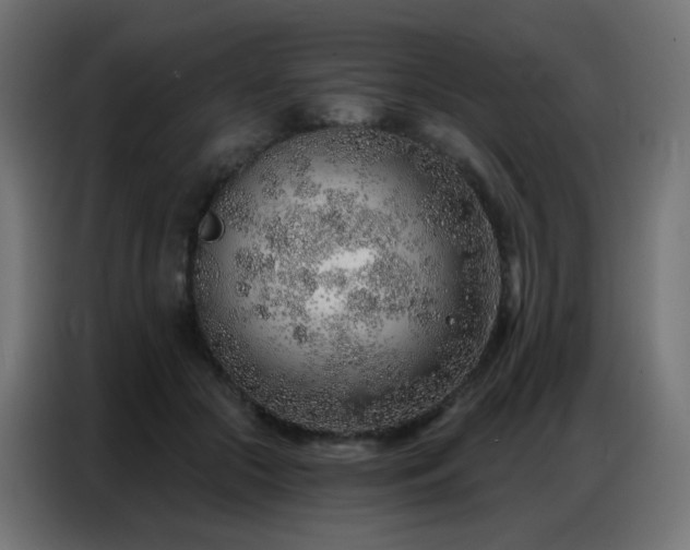 X0000086930553200704161426
