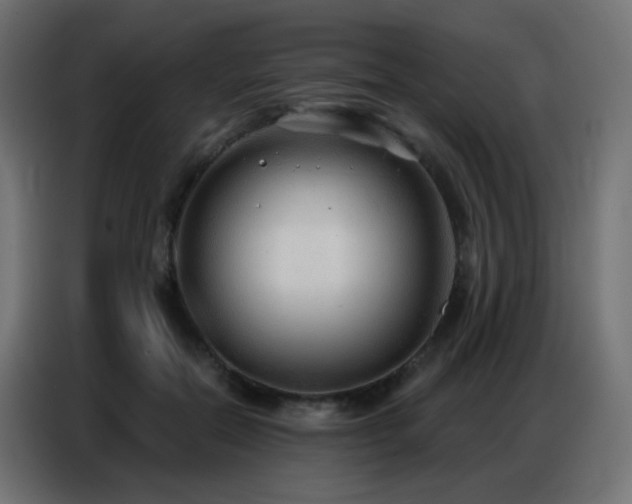 X0000086930554200704161426