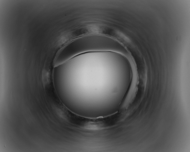 X0000086930556200704161426