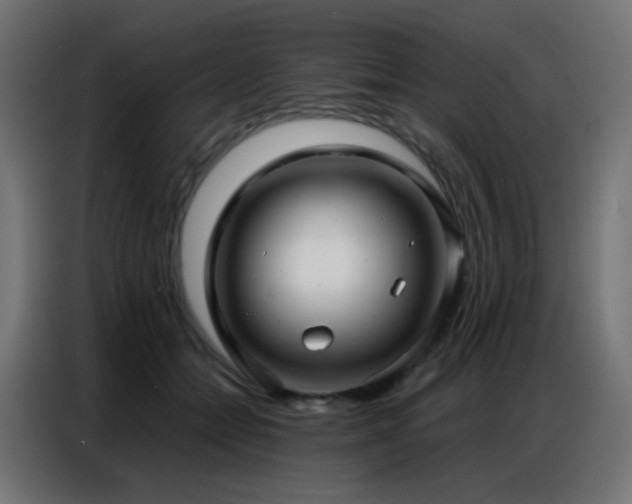 X0000086930558200704161426