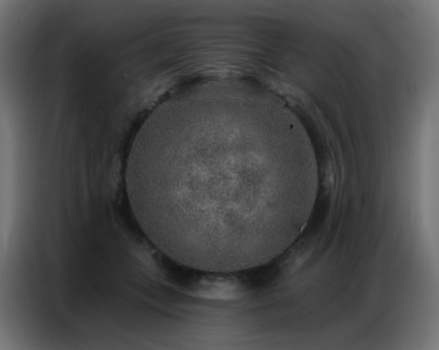 X0000086930559200704161426
