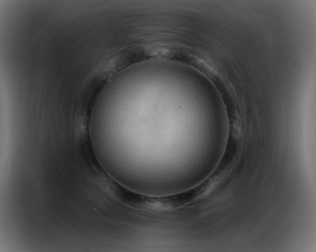 X0000086930561200704161427