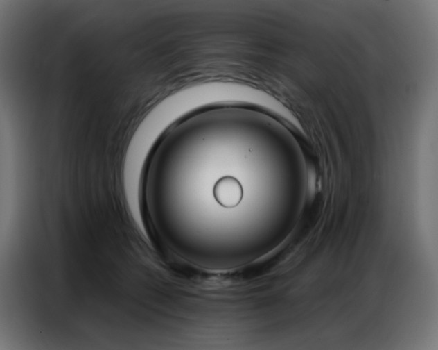 X0000086930562200704161427