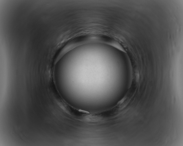 X0000086930568200704161427