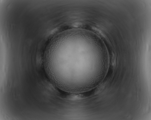 X0000086930569200704161427