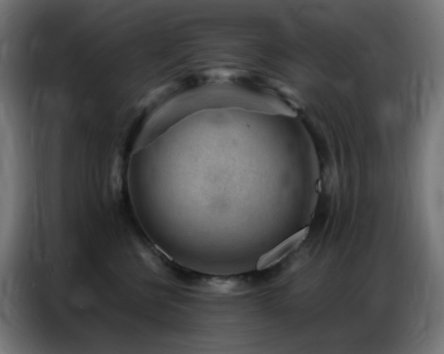 X0000086930570200704161427