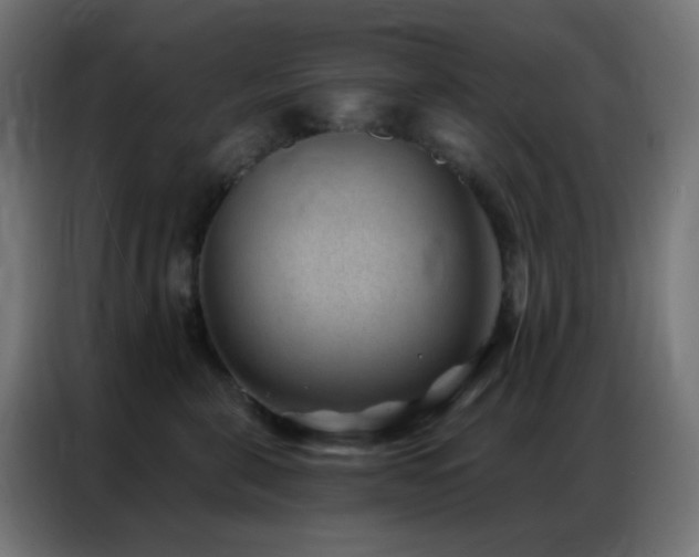 X0000086930571200704161427