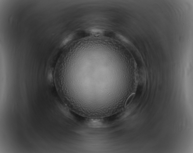 X0000086930573200704161427