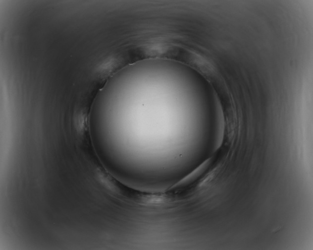 X0000086930574200704161427