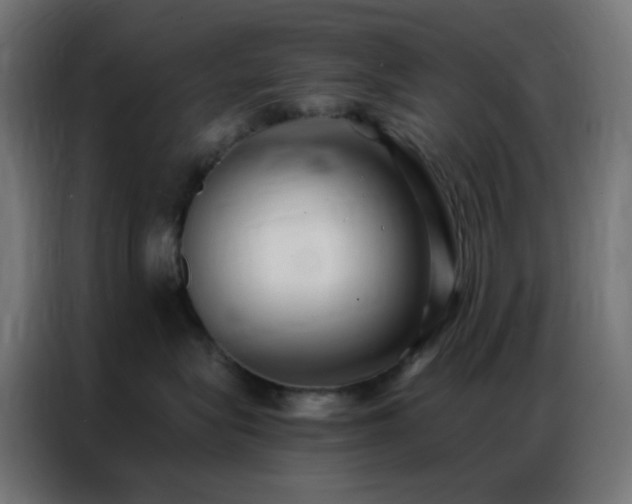 X0000086930575200704161427