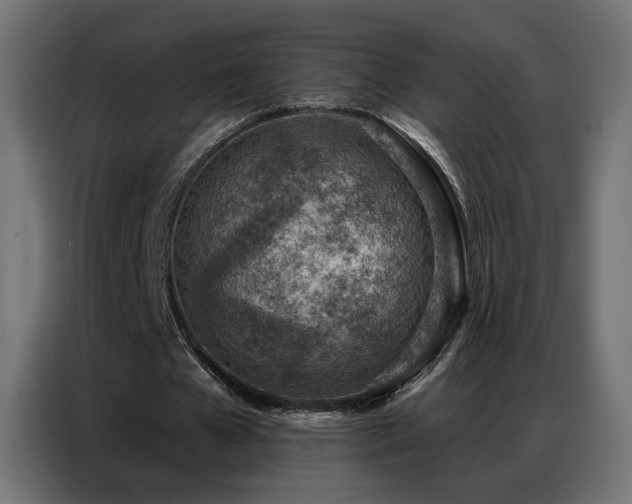 X0000086930577200704161426