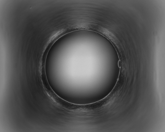 X0000086930578200704161426