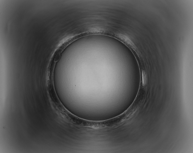 X0000086930579200704161426